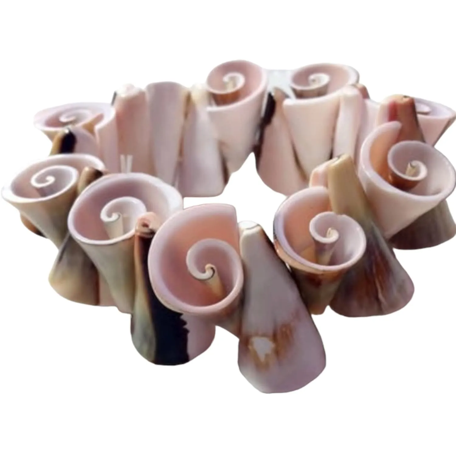Chunky Conk Shell Statement Stretch Bracelet, 6"