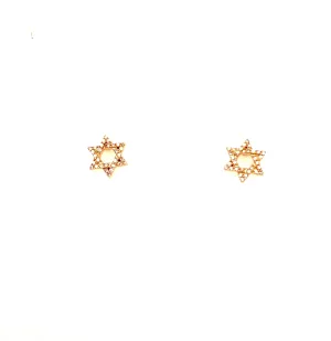 Diamond Star of David Post Earrings