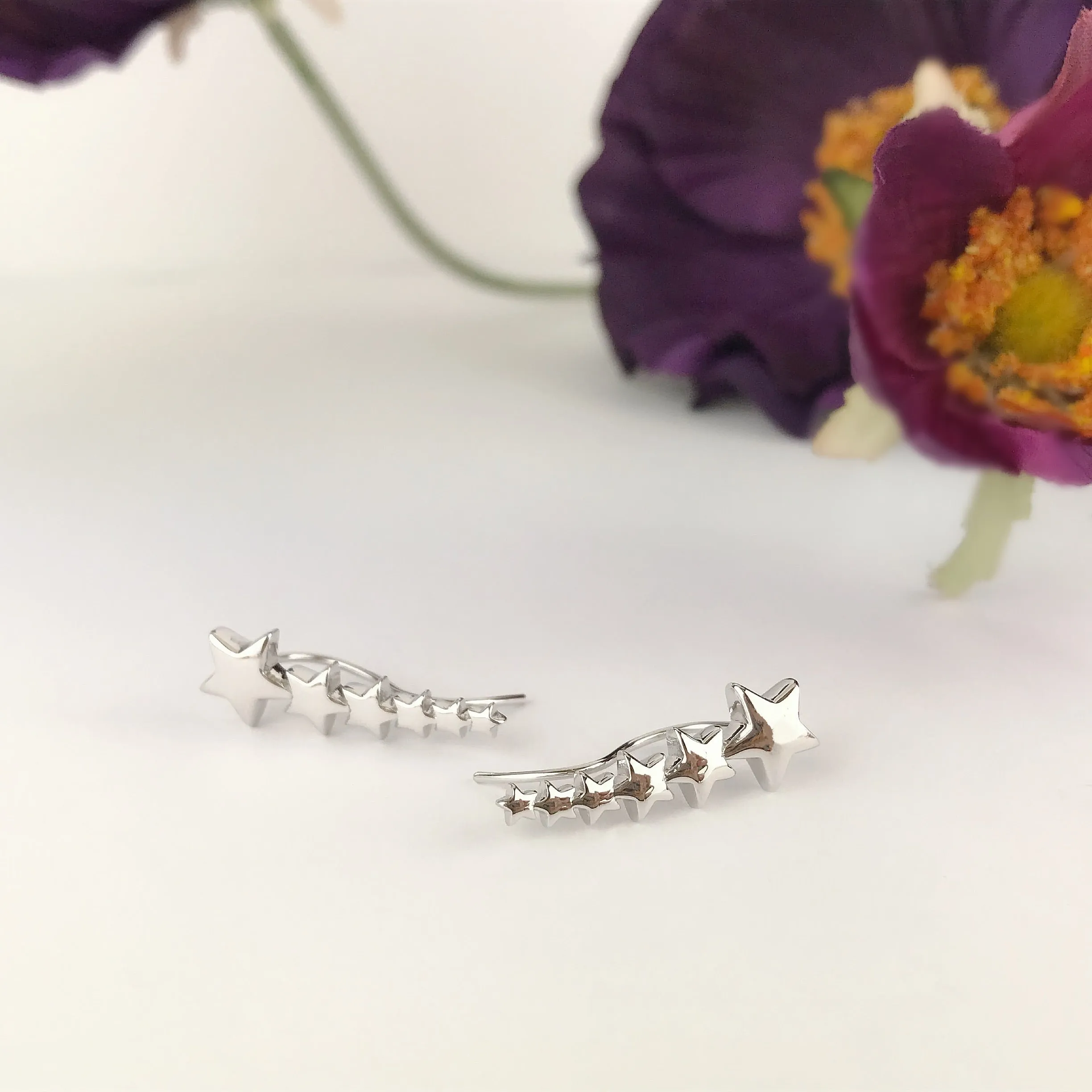 Shooting Stars Earrings - SE4761