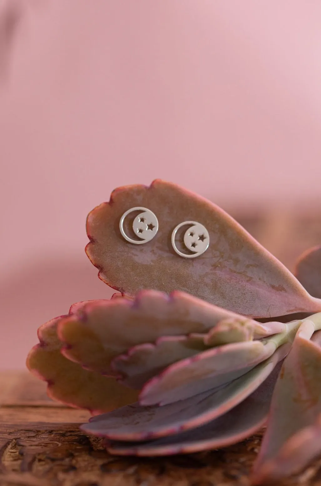 Star Moon Cutout Studs