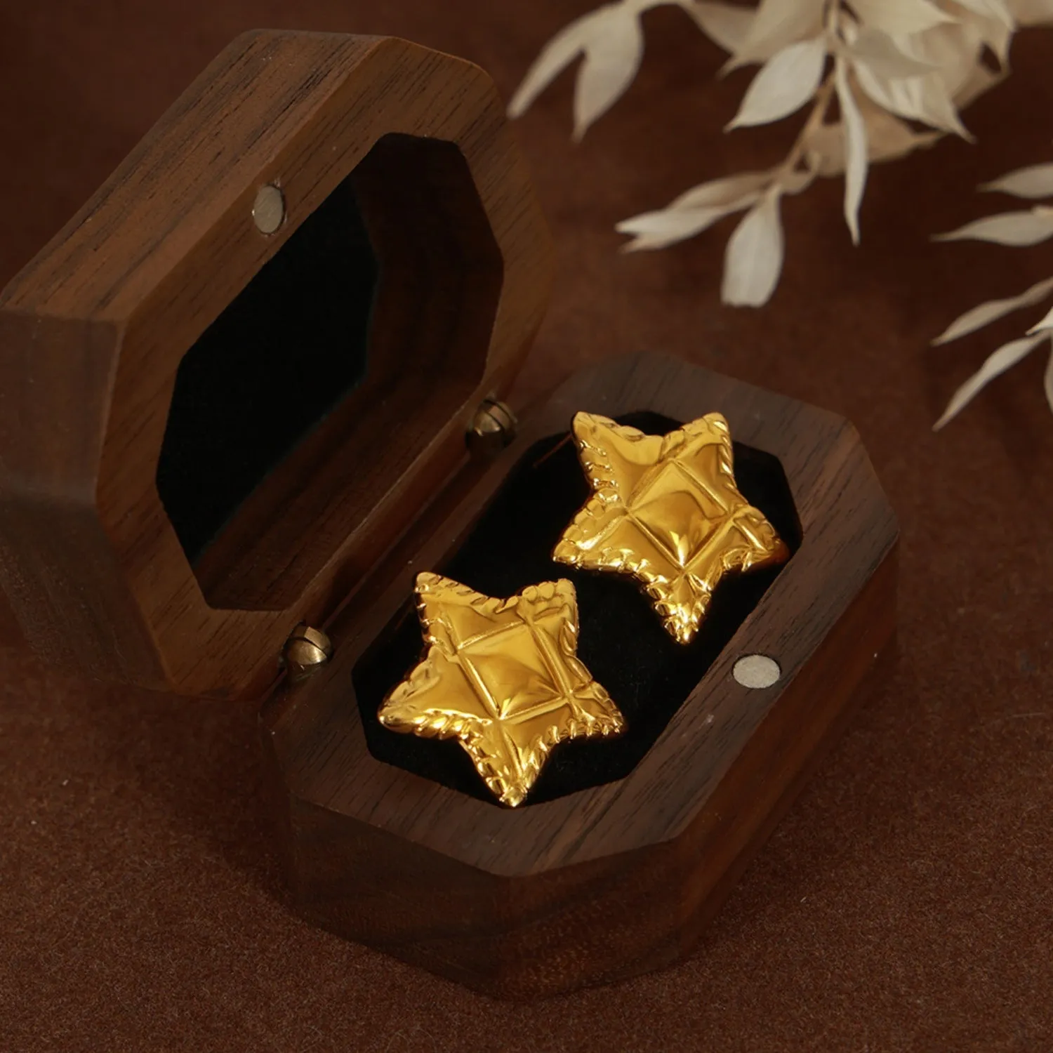 TEEK - Titanium Steel Star Stud Earrings